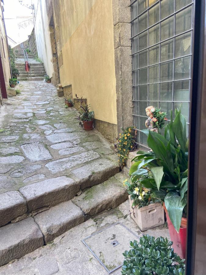 Ribeira Art Terrace Apartment Porto Bagian luar foto